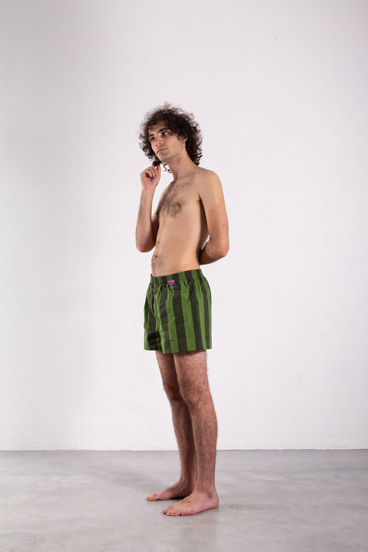 Green Striped Boxers